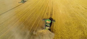 Agriculture